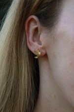 Hummingbird Stud Earrings - Gold