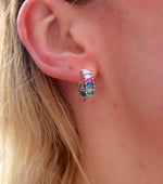 Passionfruit Rainbow Earrings - Silver*