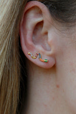 Rainbow Snake Earrings
