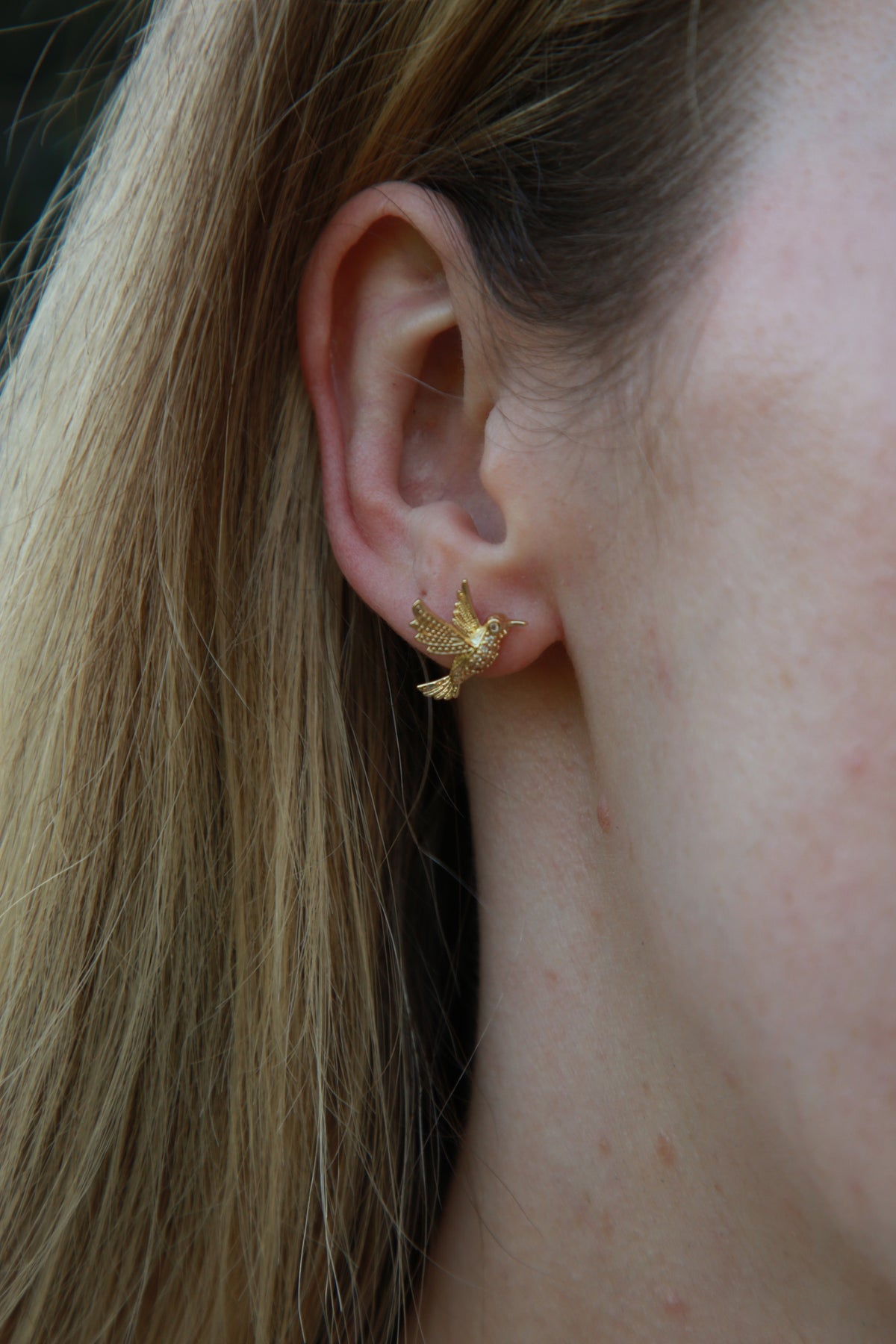 Hummingbird Stud Earrings - Gold