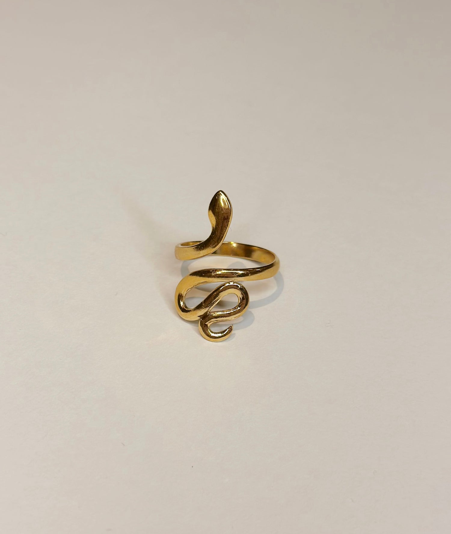 Snake Ring - Adjustable