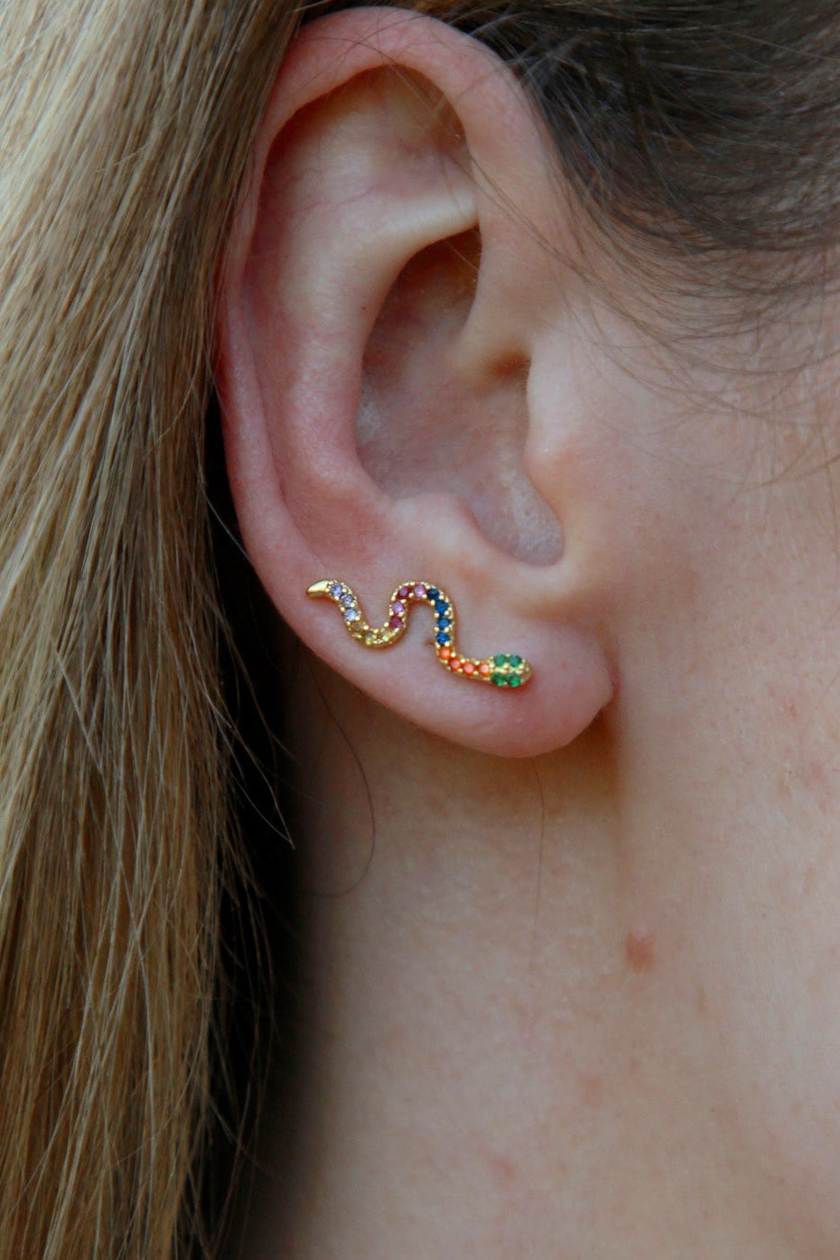 Rainbow Snake Earrings